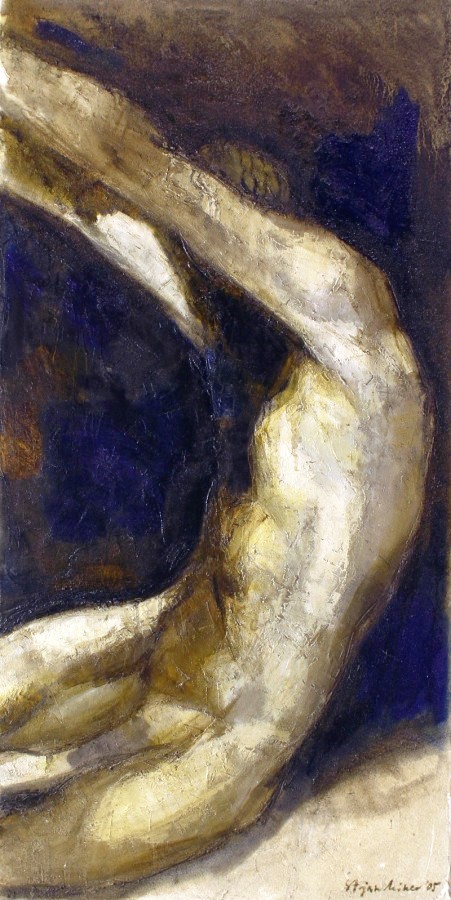 Torso
